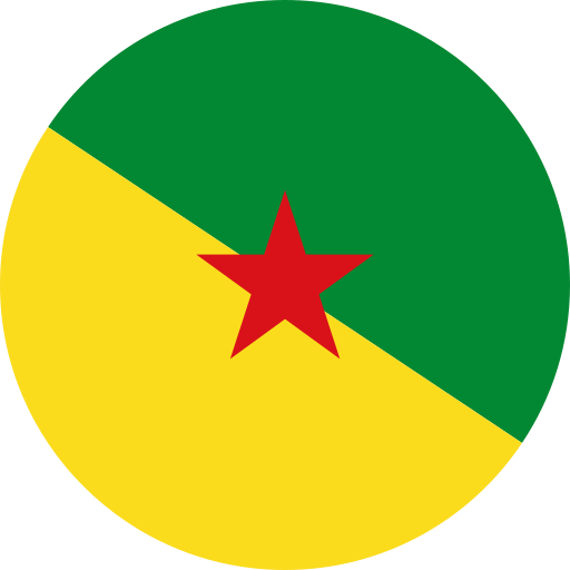 Flag, french guiana, country, world icon